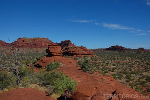 At Finke George National Park