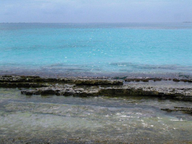 Barrier reef turn the sea into big pools