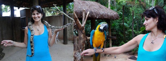 A baby anaconda, the blue-and-yellow macaw and I