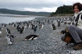 Roberta Martins at Ushuaia with penguins
