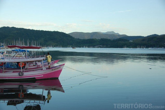 At the harbour returning from the tours on the Bay