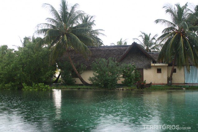 Cayo under rain