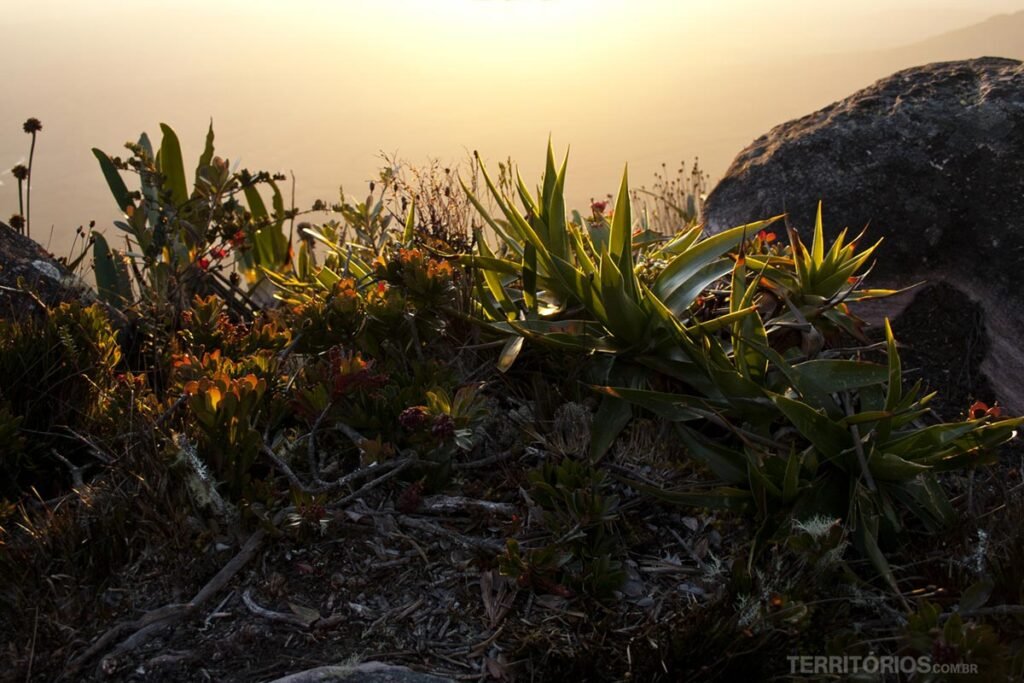 Mount Roraima Expedition